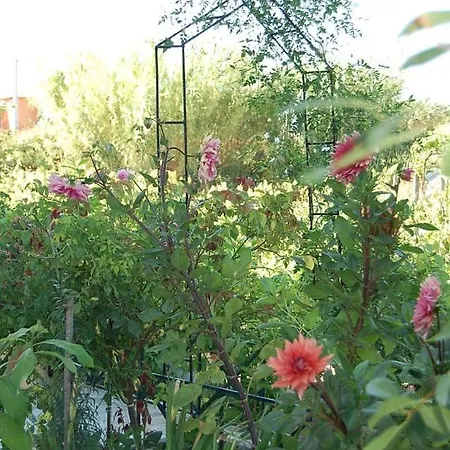 Morfi Daire Kalligoni