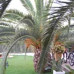 Morfi * Kalligoni