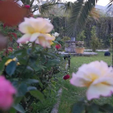 Morfi Lägenhet Kalligoni