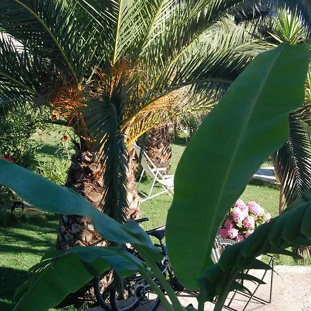 Apartment Morfi