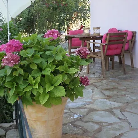 Apartment Morfi