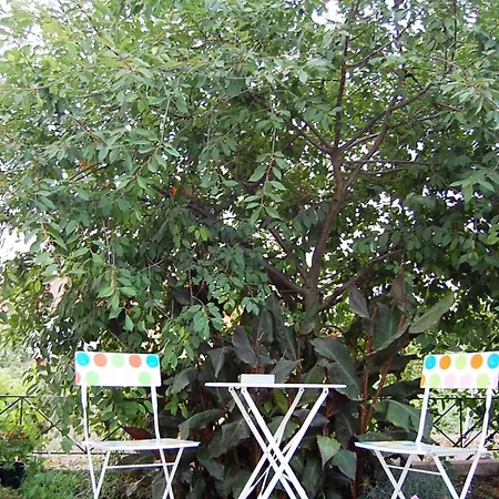 Morfi Lägenhet Kalligoni