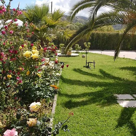 Lägenhet Morfi Kalligoni