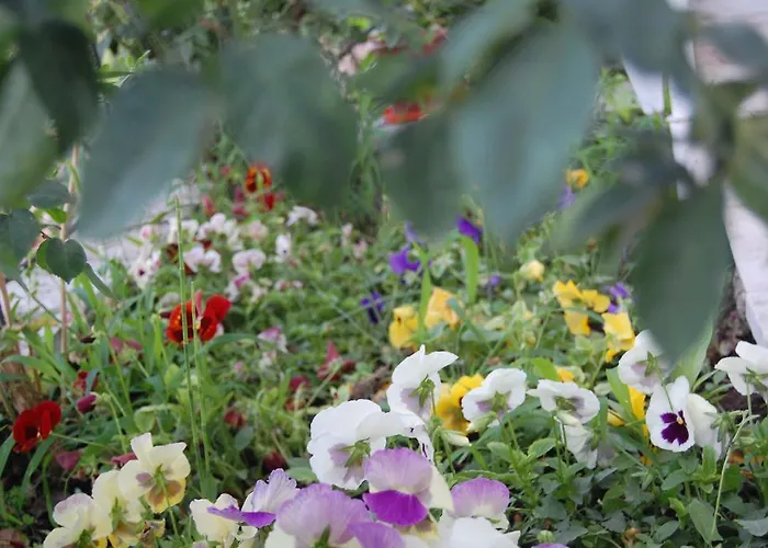 Morfi Apartamento Kalligoni